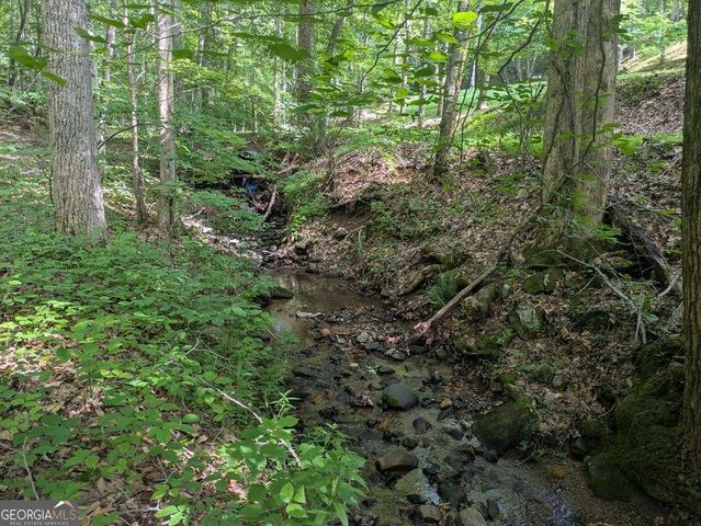 1249 Trackrock Gap Road, Blairsville, GA 30512