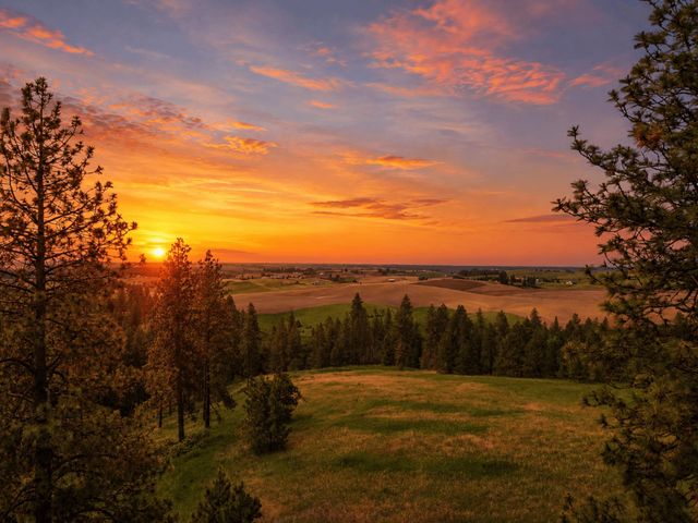 9630 S Sands Rd, Valleyford, WA 99036