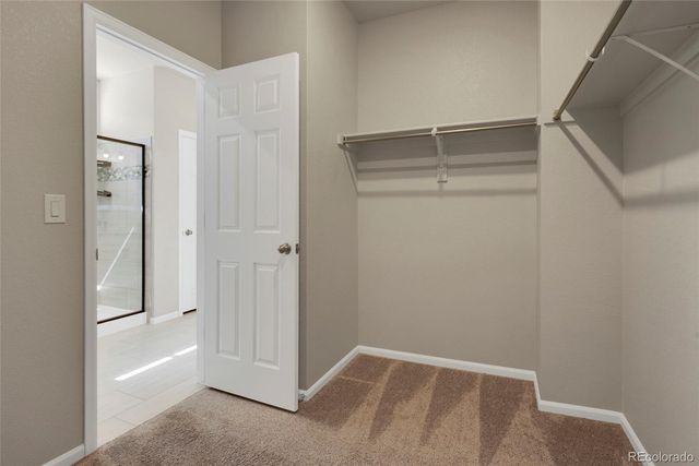 17947 Marsh Wren Avenue, Parker, CO 80134
