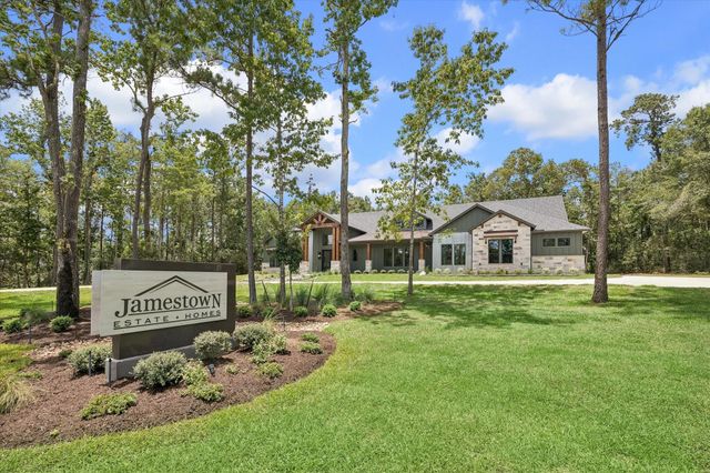 11843 Grand North Road, Willis, TX 77378