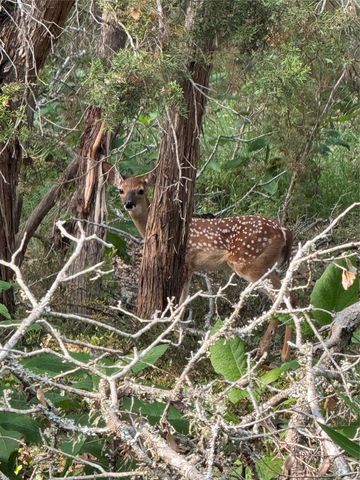 124 Calhoon CT, Canyon Lake, TX 78133