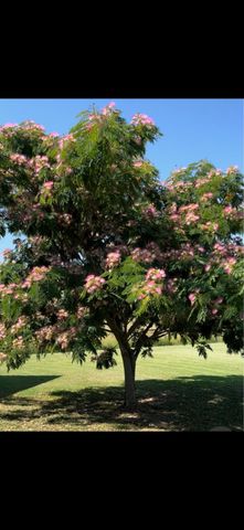 4826 S 129 Road, Bolivar, MO 65613