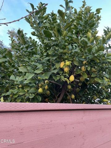 211 Fox Street, Ojai, CA 93023