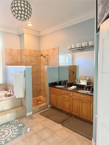 2008 N POINTE ALEXIS DRIVE, Tarpon Springs, FL 34689