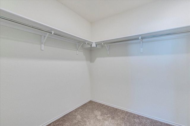 815 Sand Hill Branch DR, Austin, TX 78748