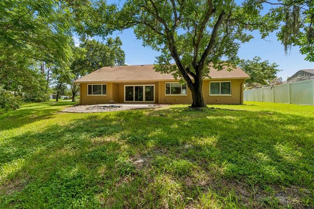 15109 SPRINGVIEW STREET, Tampa, FL 33624