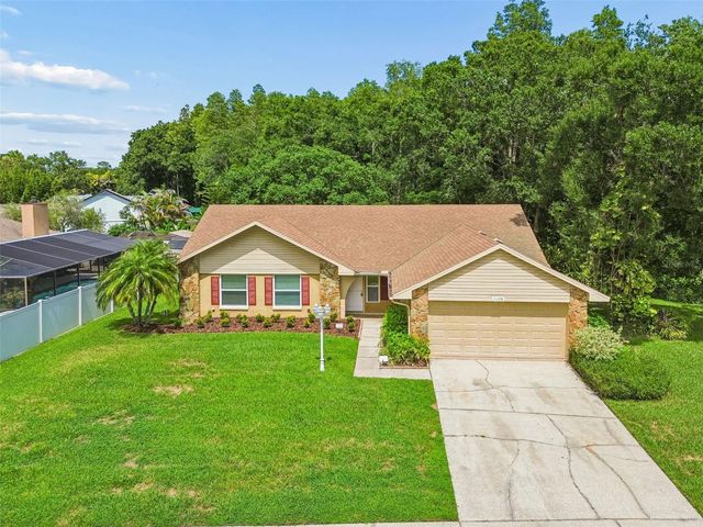 15109 SPRINGVIEW STREET, Tampa, FL 33624