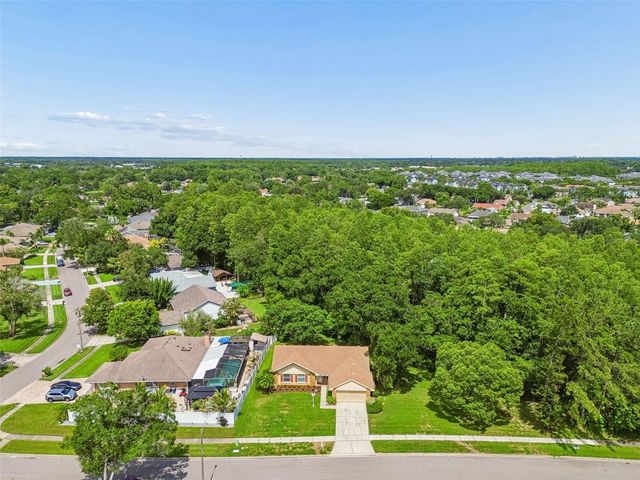 15109 SPRINGVIEW STREET, Tampa, FL 33624
