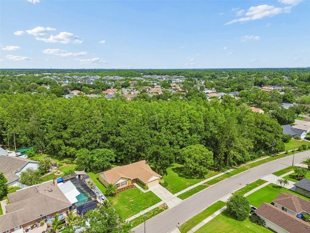 15109 SPRINGVIEW STREET, Tampa, FL 33624