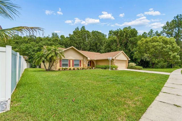 15109 SPRINGVIEW STREET, Tampa, FL 33624