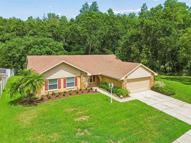 15109 SPRINGVIEW STREET, Tampa, FL 33624