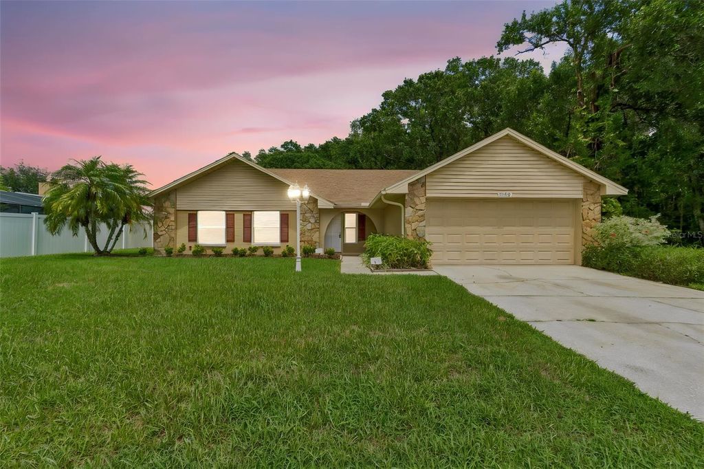 15109 SPRINGVIEW STREET, Tampa, FL 33624
