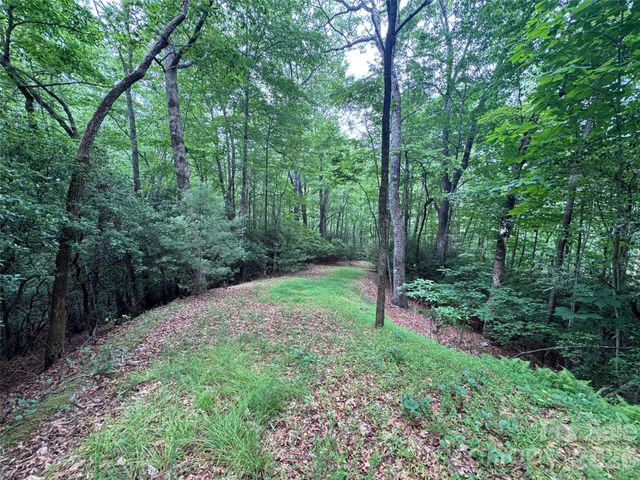 000 Chestnut Oak Lane, Pisgah Forest, NC 28768