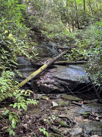000 Chestnut Oak Lane, Pisgah Forest, NC 28768