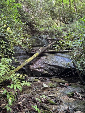 000 Chestnut Oak Lane, Pisgah Forest, NC 28768