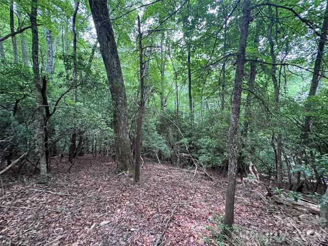 000 Chestnut Oak Lane, Pisgah Forest, NC 28768