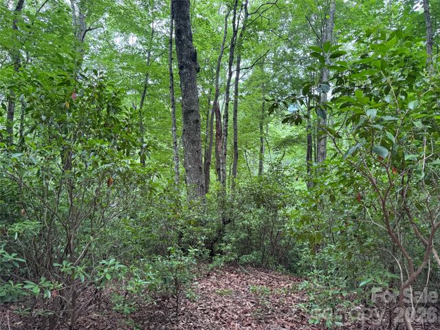 000 Chestnut Oak Lane, Pisgah Forest, NC 28768