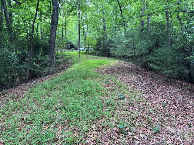 000 Chestnut Oak Lane, Pisgah Forest, NC 28768