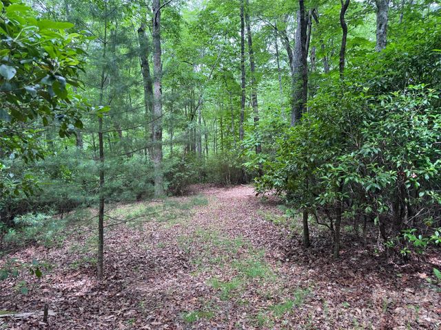 000 Chestnut Oak Lane, Pisgah Forest, NC 28768
