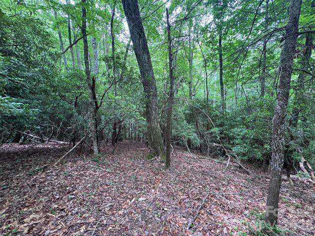 000 Chestnut Oak Lane, Pisgah Forest, NC 28768