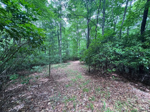 000 Chestnut Oak Lane, Pisgah Forest, NC 28768