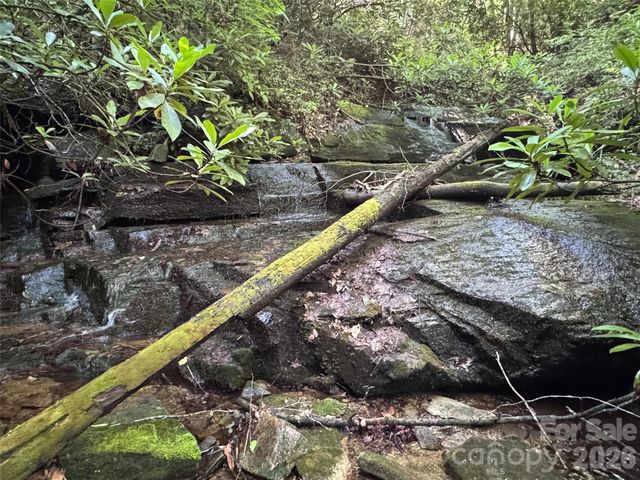 000 Chestnut Oak Lane, Pisgah Forest, NC 28768