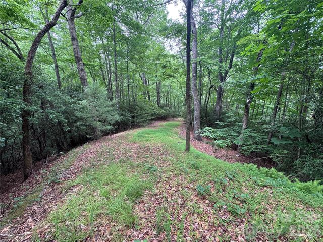 000 Chestnut Oak Lane, Pisgah Forest, NC 28768