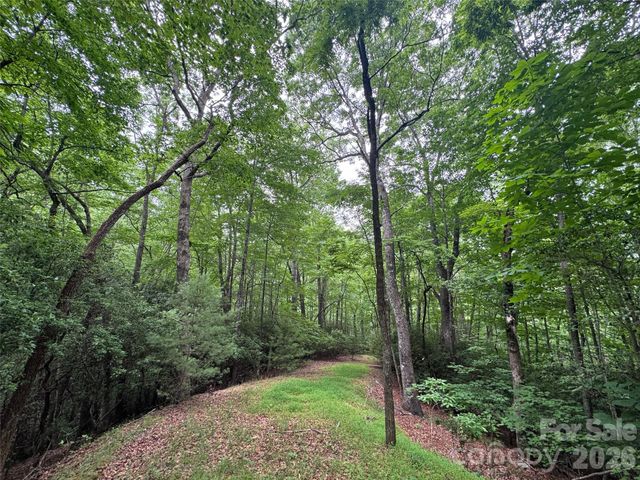 000 Chestnut Oak Lane, Pisgah Forest, NC 28768