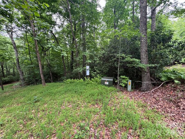 000 Chestnut Oak Lane, Pisgah Forest, NC 28768