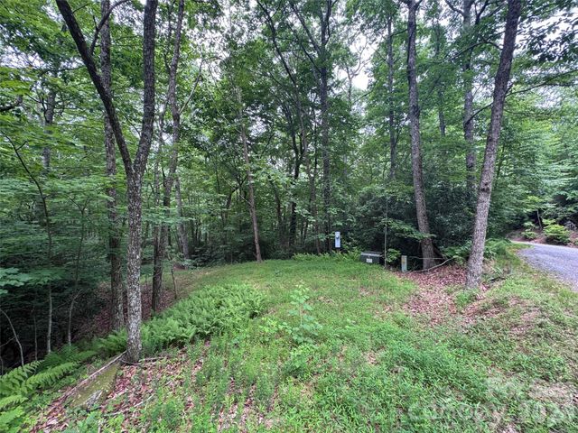 000 Chestnut Oak Lane, Pisgah Forest, NC 28768