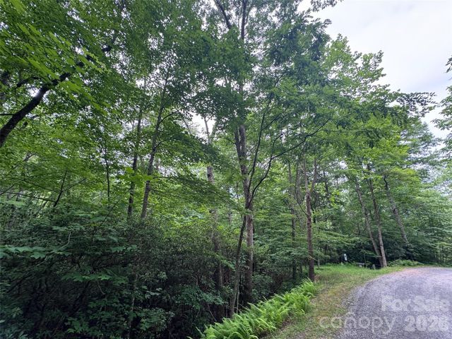 000 Chestnut Oak Lane, Pisgah Forest, NC 28768