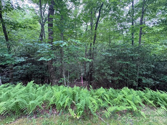 000 Chestnut Oak Lane, Pisgah Forest, NC 28768