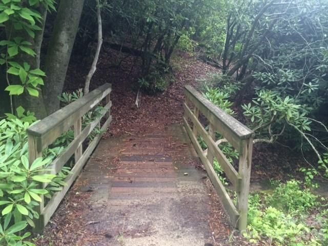 000 Chestnut Oak Lane, Pisgah Forest, NC 28768