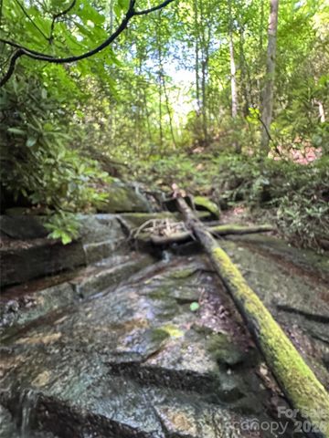 000 Chestnut Oak Lane, Pisgah Forest, NC 28768