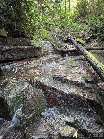 000 Chestnut Oak Lane, Pisgah Forest, NC 28768