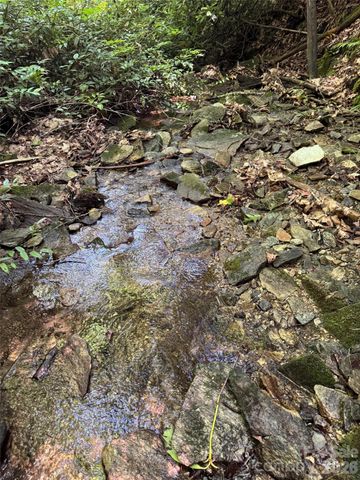 000 Chestnut Oak Lane, Pisgah Forest, NC 28768