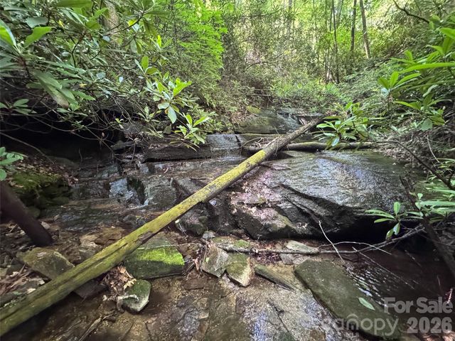 000 Chestnut Oak Lane, Pisgah Forest, NC 28768