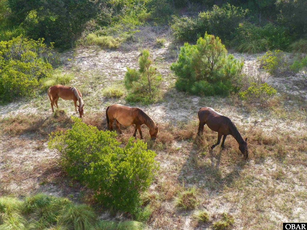 Image 11 of property listing at 2366 Swan Island Road Lot 5, Corolla, NC 27927