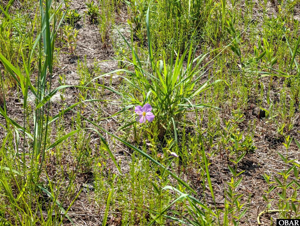 Image 3 of property listing at 2366 Swan Island Road Lot 5, Corolla, NC 27927