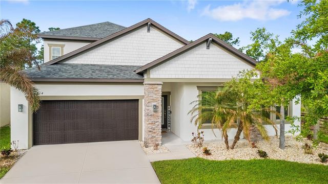 11814 CROSS VINE DRIVE, Riverview, FL 33579