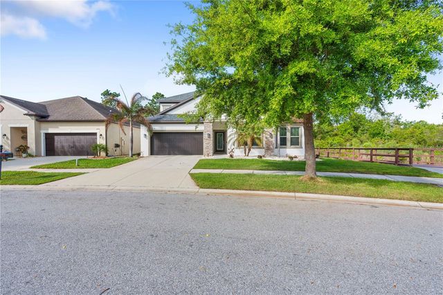 11814 CROSS VINE DRIVE, Riverview, FL 33579