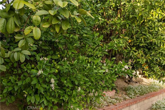 1000 Heaton Moor, Walnut, CA 91789