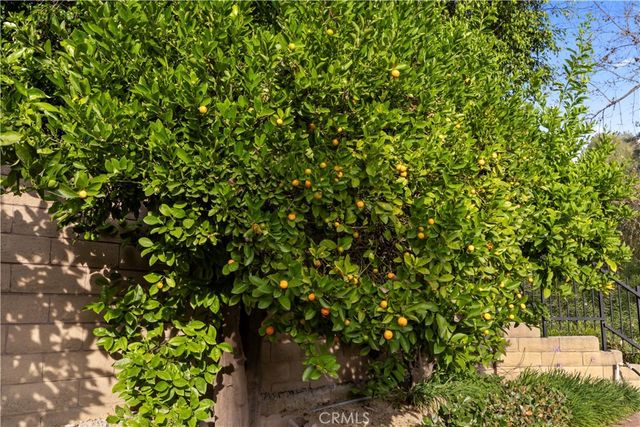 1000 Heaton Moor, Walnut, CA 91789