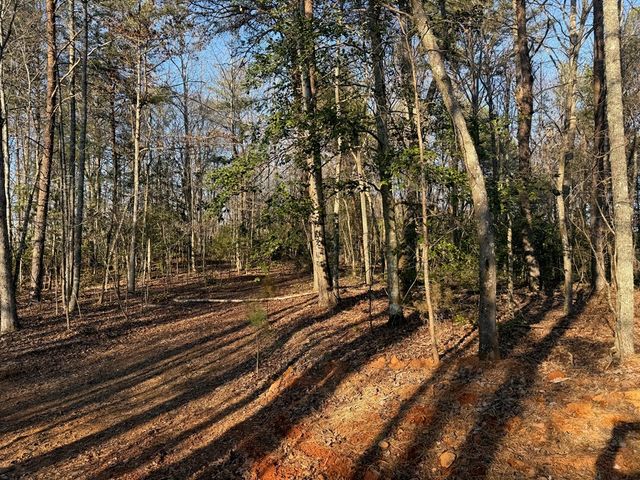 Lot 3 Willow Ridge, Warne, NC 28909