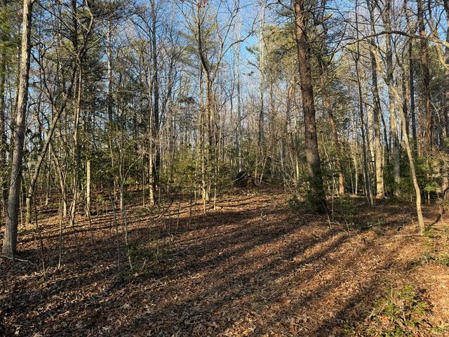 Lot 3 Willow Ridge, Warne, NC 28909