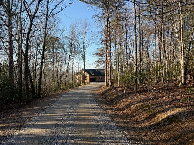 Lot 3 Willow Ridge, Warne, NC 28909