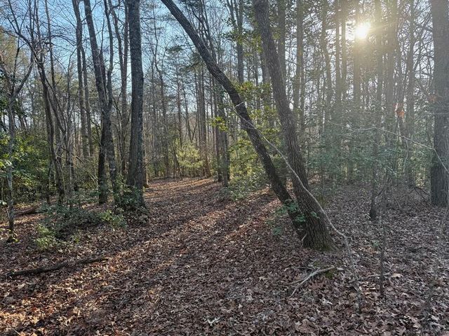 Lot 3 Willow Ridge, Warne, NC 28909