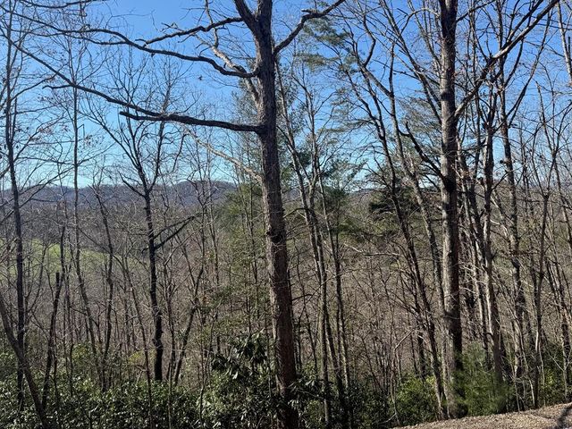 Lot 3 Willow Ridge, Warne, NC 28909