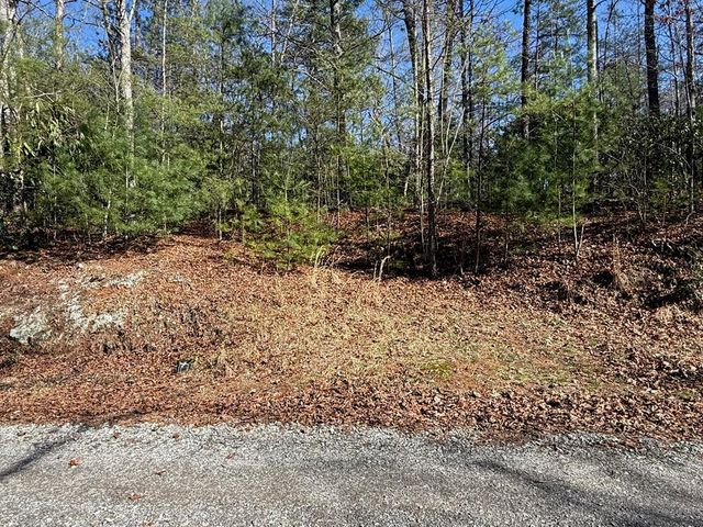 Lot 3 Willow Ridge, Warne, NC 28909