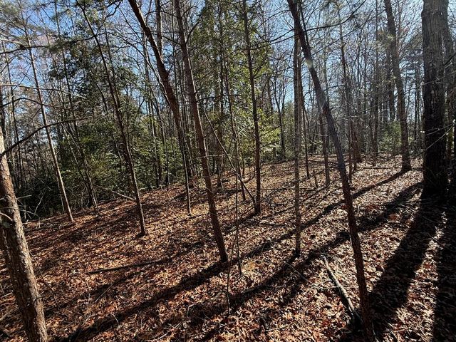Lot 3 Willow Ridge, Warne, NC 28909
